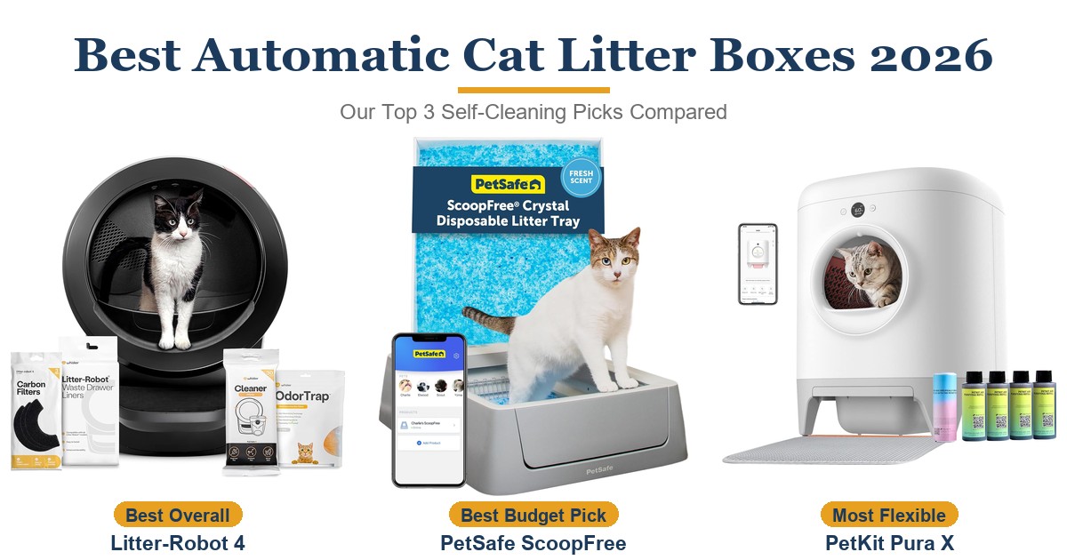 Best Automatic Cat Litter Boxes 2026: 3 Self-Cleaning Picks Compared