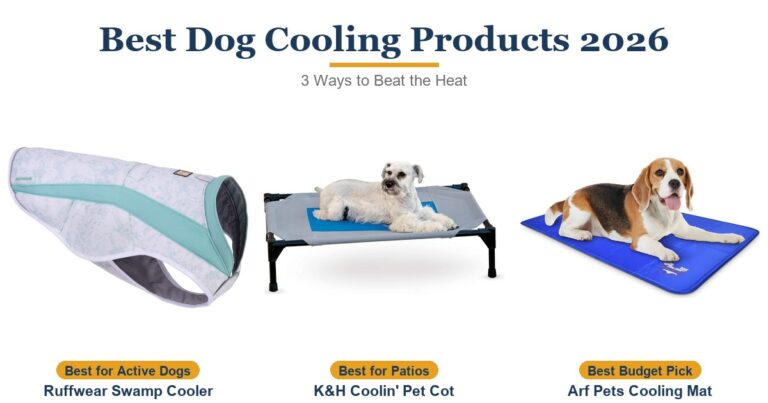 Best Dog Cooling Products 2026: 3 Ways to Beat the Heat