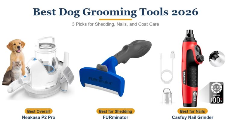 Best Dog Grooming Tools of 2026: Our Top 3 Picks Reviewed
