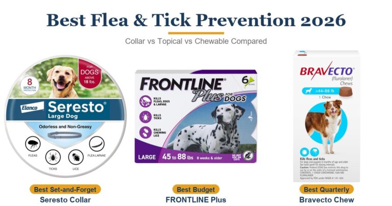Best Flea and Tick Prevention for Dogs 2026: Collar, Topical, or Chewable?