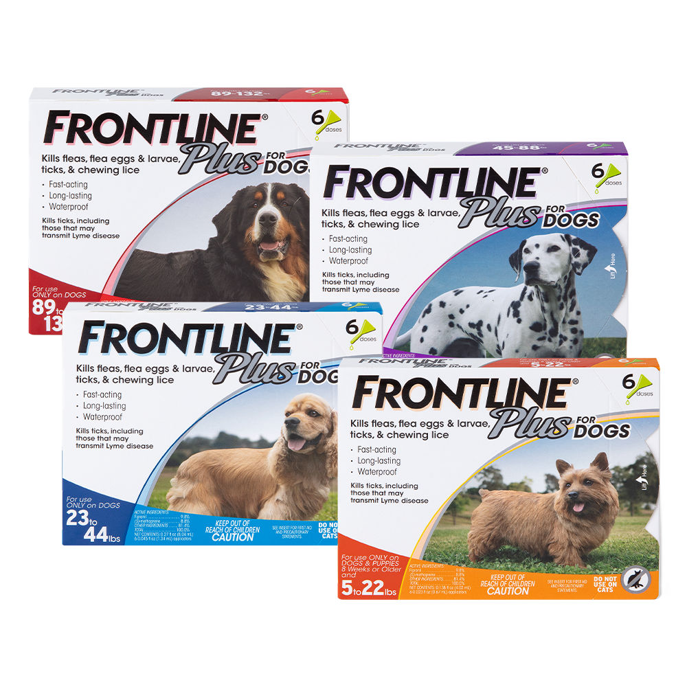 FRONTLINE Plus for Dogs flea and tick topical treatment applicator box