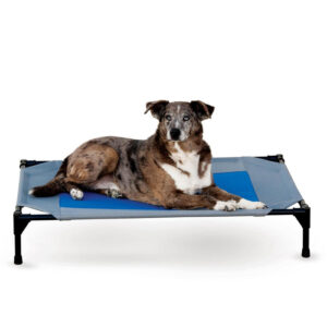 K&H Coolin’ Pet Cot Review: No-Water Dog Cooling Bed? (2026)