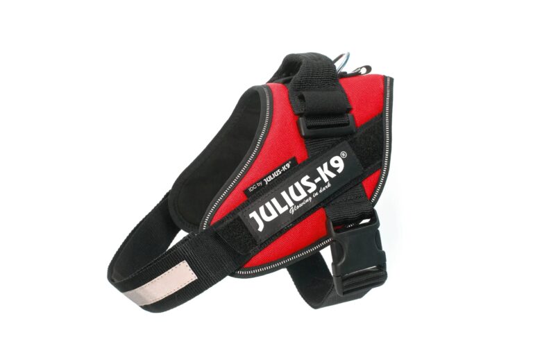 Julius-K9 IDC Powerharness Review: Handle Control (2026)