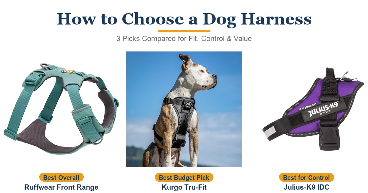 How to Choose a Dog Harness for Walks in 2026: What to Look For