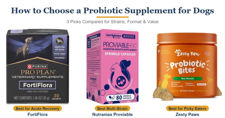 How to Choose a Probiotic Supplement for Dogs in 2026: What Actually Matters