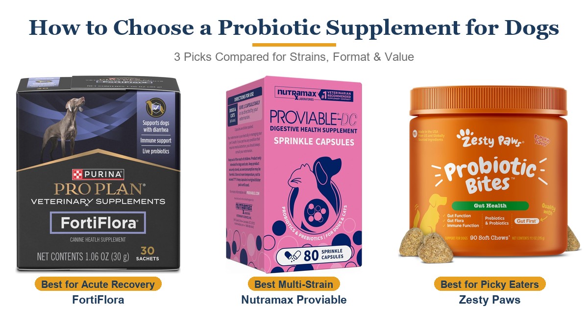 How to Choose a Probiotic Supplement for Dogs in 2026: What Actually Matters