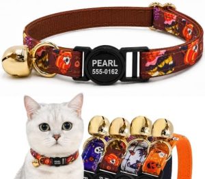 PAWTURE Personalized Halloween Cat Collar