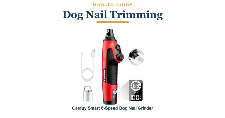 How to Trim Dog Nails Safely at Home: 6 Steps (2026)