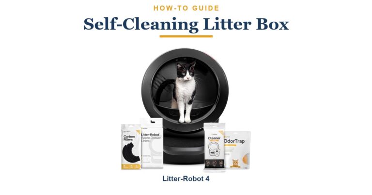How to Transition Your Cat to a Self-Cleaning Litter Box (2026)