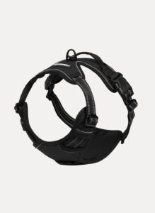 Rabbitgoo No-Pull Dog Harness