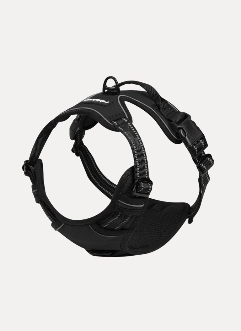 Rabbitgoo No-Pull Dog Harness Review: Light-Duty Budget Pick